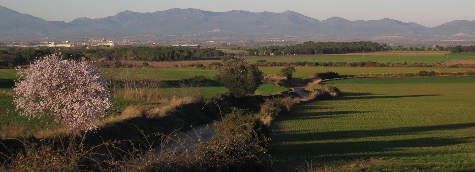 Un municipi de conreus i boscos
